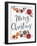 Merry Christmas Dried Fruit-Kim Allen-Framed Art Print