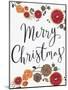 Merry Christmas Dried Fruit-Kim Allen-Mounted Art Print