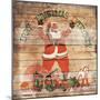 Merry Christmas Everybody-Milli Villa-Mounted Art Print