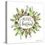 Merry Christmas Greenery I-Britt Hallowell-Stretched Canvas