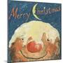Merry Christmas Pudding, 2008-David Cooke-Mounted Giclee Print