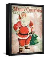 Merry Christmas Santa-Kimberly Allen-Framed Stretched Canvas