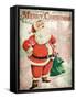 Merry Christmas Santa-Kimberly Allen-Framed Stretched Canvas