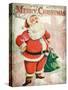 Merry Christmas Santa-Kimberly Allen-Stretched Canvas