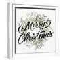 Merry Christmas Wreath Greens-Kim Allen-Framed Art Print