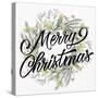 Merry Christmas Wreath Greens-Kim Allen-Stretched Canvas