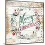 Merry Christmas Wreath-Jace Grey-Mounted Art Print