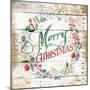Merry Christmas Wreath-Jace Grey-Mounted Art Print