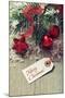 Merry Christmas-tashka2000-Mounted Photographic Print