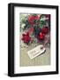 Merry Christmas-tashka2000-Framed Photographic Print