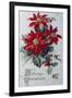 Merry Christmas-null-Framed Giclee Print