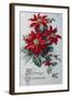 Merry Christmas-null-Framed Giclee Print