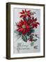 Merry Christmas-null-Framed Giclee Print