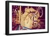 Merry-Go-Round Wooden Horses Toned with a Retro Vintage Instagram Filter Effect-graphicphoto-Framed Photographic Print