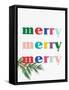 Merry Merry Merry-Ann Bailey-Framed Stretched Canvas