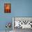 Merry Pear II-Lanie Loreth-Framed Stretched Canvas displayed on a wall