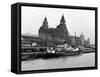 Merseyside 1954-Bela Zola-Framed Stretched Canvas