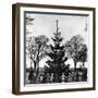 Merseyside 1956-Staff-Framed Photographic Print