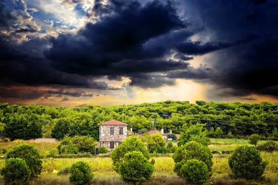 Photographic Print, , large