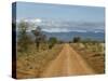 Meru National Park, Kenya, East Africa, Africa-Pitamitz Sergio-Stretched Canvas