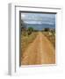 Meru National Park, Kenya, East Africa, Africa-Pitamitz Sergio-Framed Photographic Print