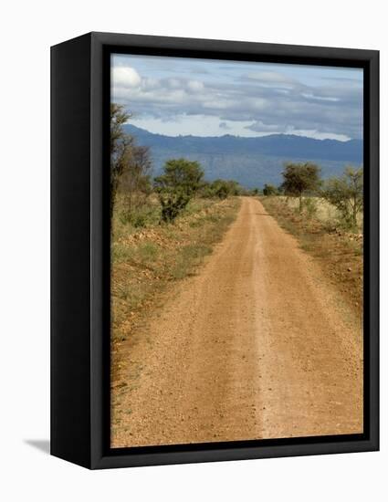 Meru National Park, Kenya, East Africa, Africa-Pitamitz Sergio-Framed Stretched Canvas