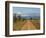 Meru National Park, Kenya, East Africa, Africa-Pitamitz Sergio-Framed Photographic Print