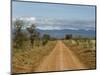 Meru National Park, Kenya, East Africa, Africa-Pitamitz Sergio-Mounted Photographic Print