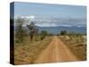 Meru National Park, Kenya, East Africa, Africa-Pitamitz Sergio-Stretched Canvas