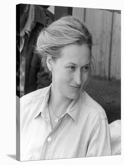 Meryl Streep (b1949)-null-Stretched Canvas