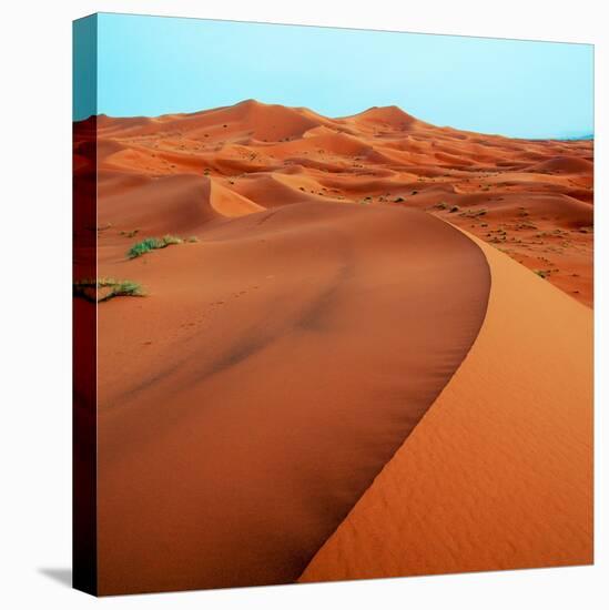 Merzouga Dunes-Steven Boone-Stretched Canvas