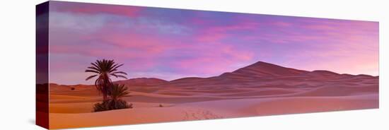Merzouga, Sahara Desert, Morocco-Doug Pearson-Stretched Canvas