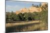 Mesa and Pinyon Trees, El Malpais National Monument, New Mexico-null-Mounted Photographic Print