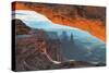 Mesa Arch Canyonlands National Park-Alan Majchrowicz-Stretched Canvas