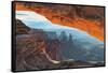 Mesa Arch Canyonlands National Park-Alan Majchrowicz-Framed Stretched Canvas