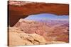 Mesa Arch, Island in the Sky, Canyonlands National Park, Utah, United States of America-Neale Clark-Stretched Canvas