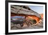 Mesa Arch on the Island in the Sky, Canyonlands National Park, Utah, USA-Art Wolfe-Framed Photographic Print