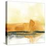 Mesa Skyline I-June Vess-Stretched Canvas