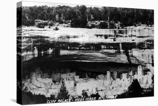Mesa Verda Nat'l Park, Colorado - Cliff Palace Ruins Panoramic-Lantern Press-Stretched Canvas