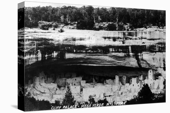 Mesa Verda Nat'l Park, Colorado - Cliff Palace Ruins Panoramic-Lantern Press-Stretched Canvas