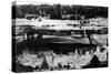 Mesa Verda Nat'l Park, Colorado - Cliff Palace Ruins Panoramic-Lantern Press-Stretched Canvas