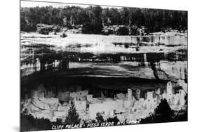 Mesa Verda Nat'l Park, Colorado - Cliff Palace Ruins Panoramic-Lantern Press-Mounted Premium Giclee Print