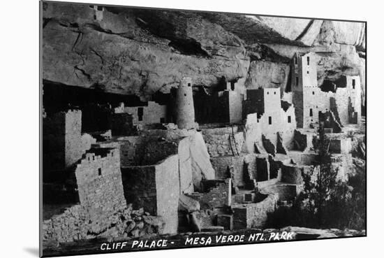 Mesa Verda Nat'l Park, Colorado - View of Cliff Palace Ruins-Lantern Press-Mounted Art Print