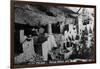 Mesa Verda Nat'l Park, Colorado - View of Cliff Palace Ruins-Lantern Press-Framed Art Print