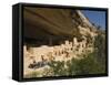 Mesa Verde, Mesa Verde National Park, UNESCO World Heritage Site, Colorado, USA-Snell Michael-Framed Stretched Canvas