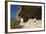 Mesa Verde National Park-Richard Maschmeyer-Framed Photographic Print