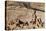 Mesa Verde National Park-Richard Maschmeyer-Stretched Canvas