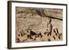 Mesa Verde National Park-Richard Maschmeyer-Framed Photographic Print