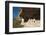 Mesa Verde National Park-Richard Maschmeyer-Framed Photographic Print