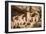 Mesa Verde-Tim Oldford-Framed Photographic Print